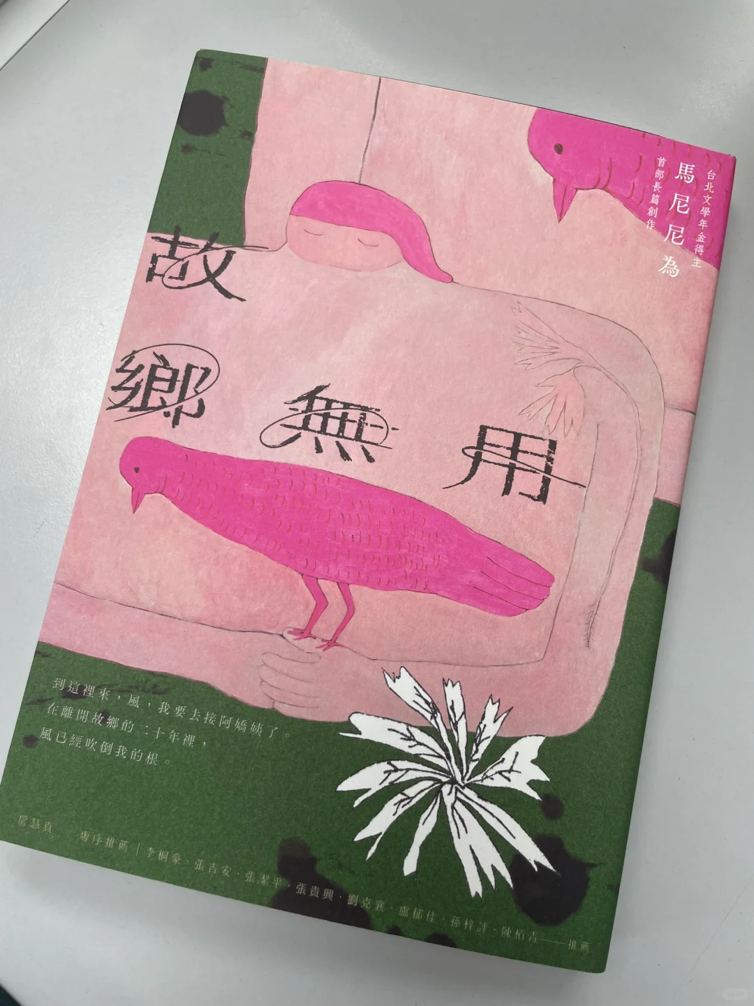 本人年度愛書出現了🫶好喜歡台灣文學