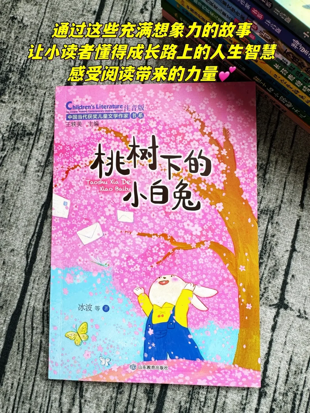 小学生课外阅读要选当代获奖儿童文学，