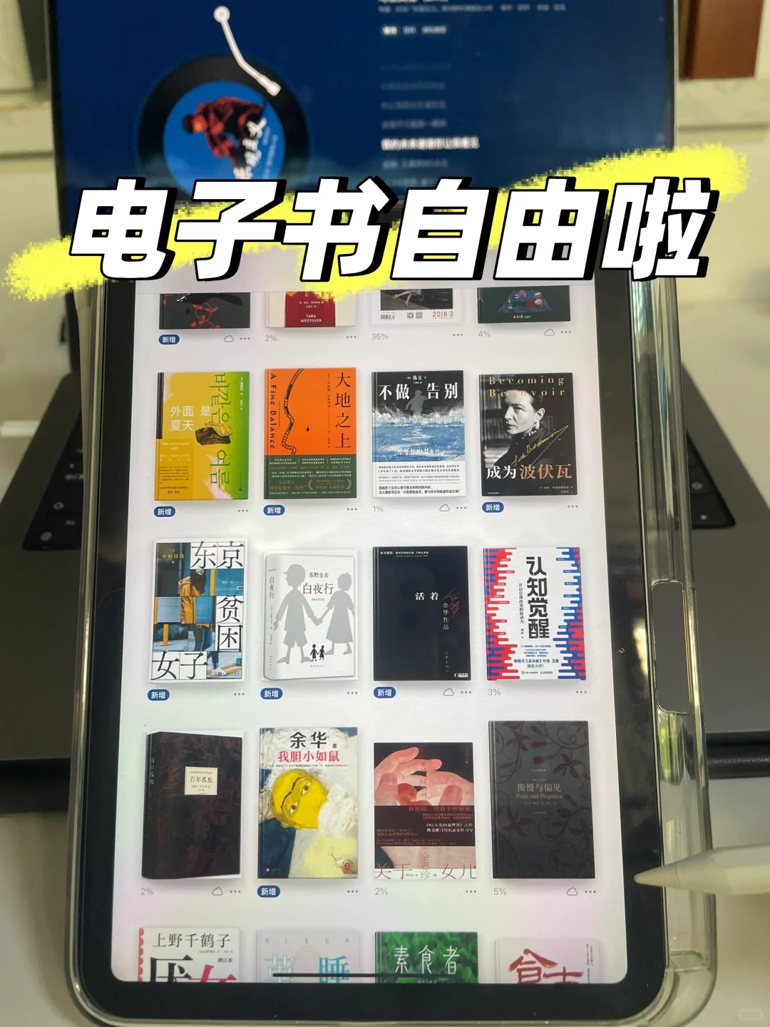 📌2025年电子书自由目标已达成！！