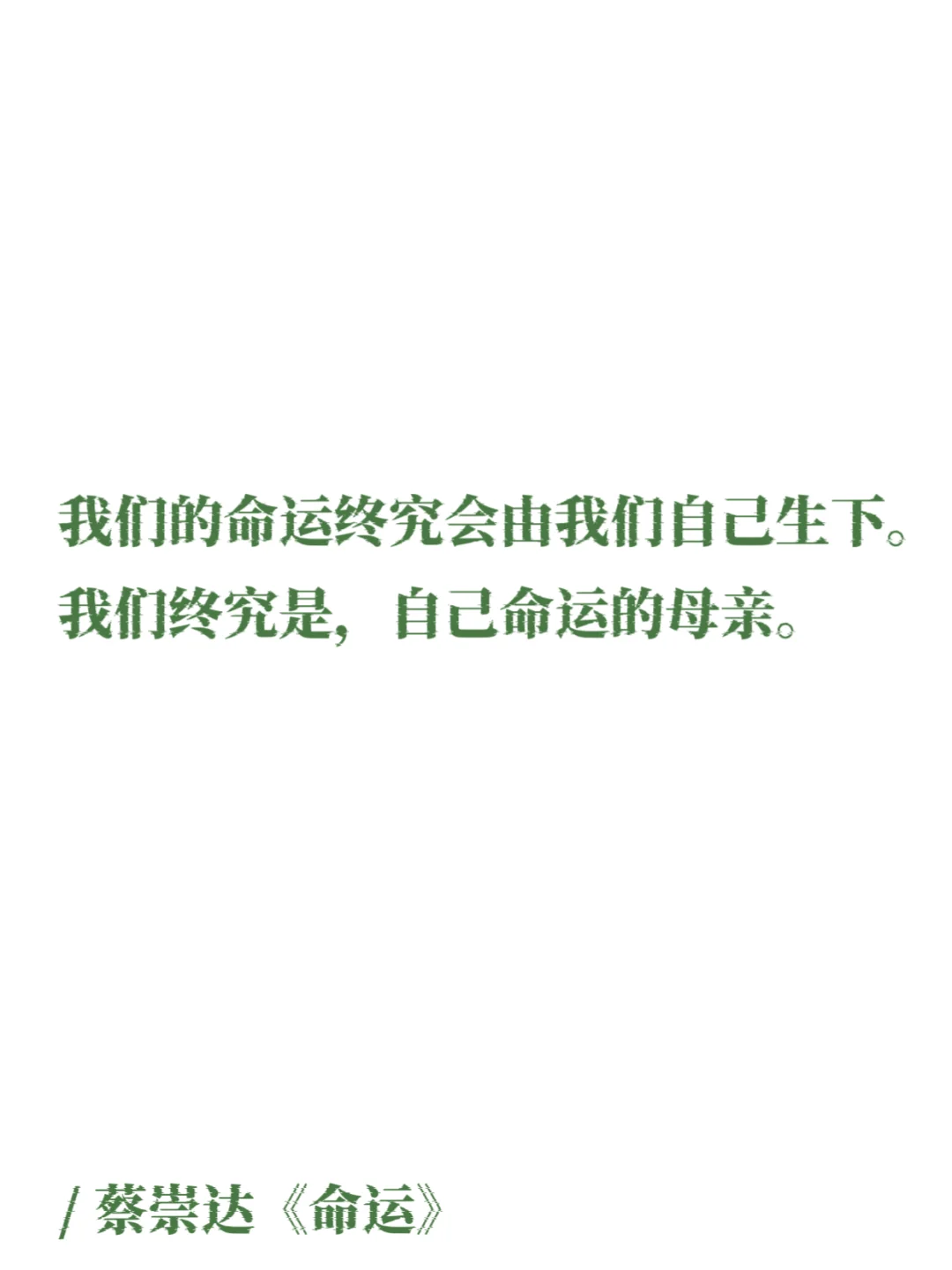 蔡崇达｜那些细腻温润的文字，如山野的白茶！