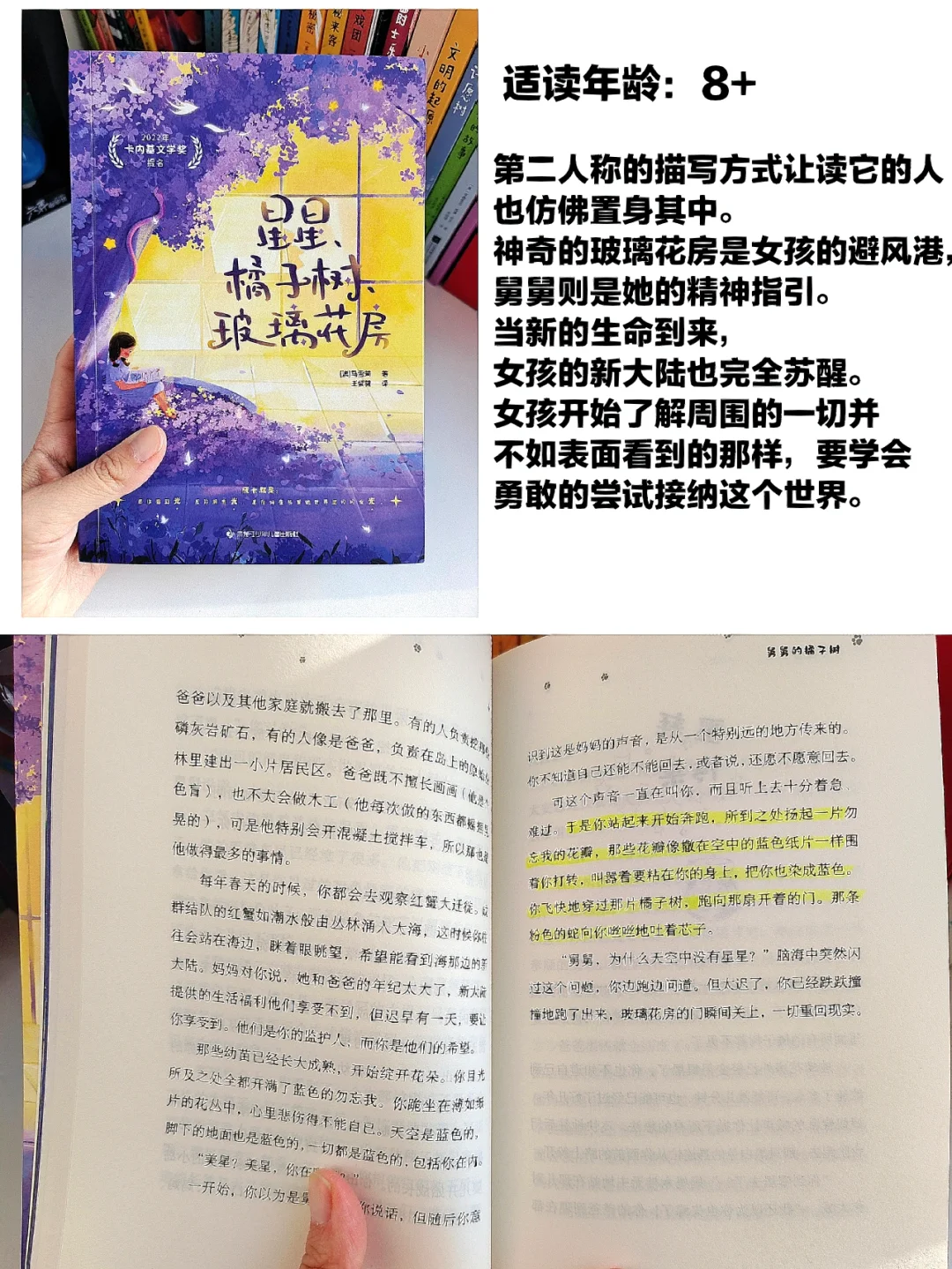 进阶书单📖｜7-14岁获奖儿童文学小说