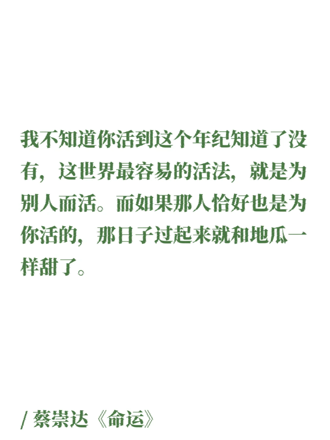 蔡崇达｜那些细腻温润的文字，如山野的白茶！