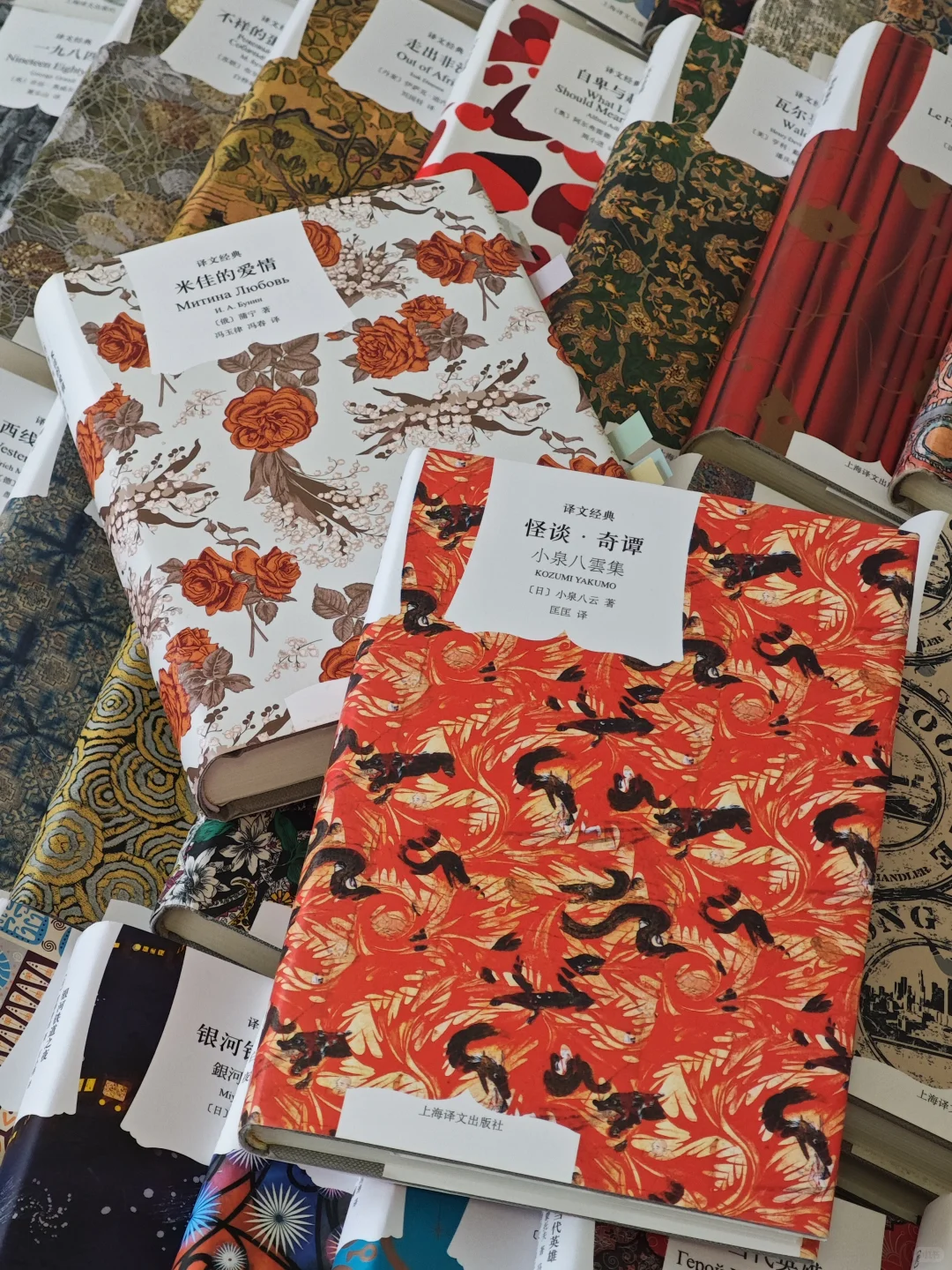 谁家里没有几十本美丽的名著！