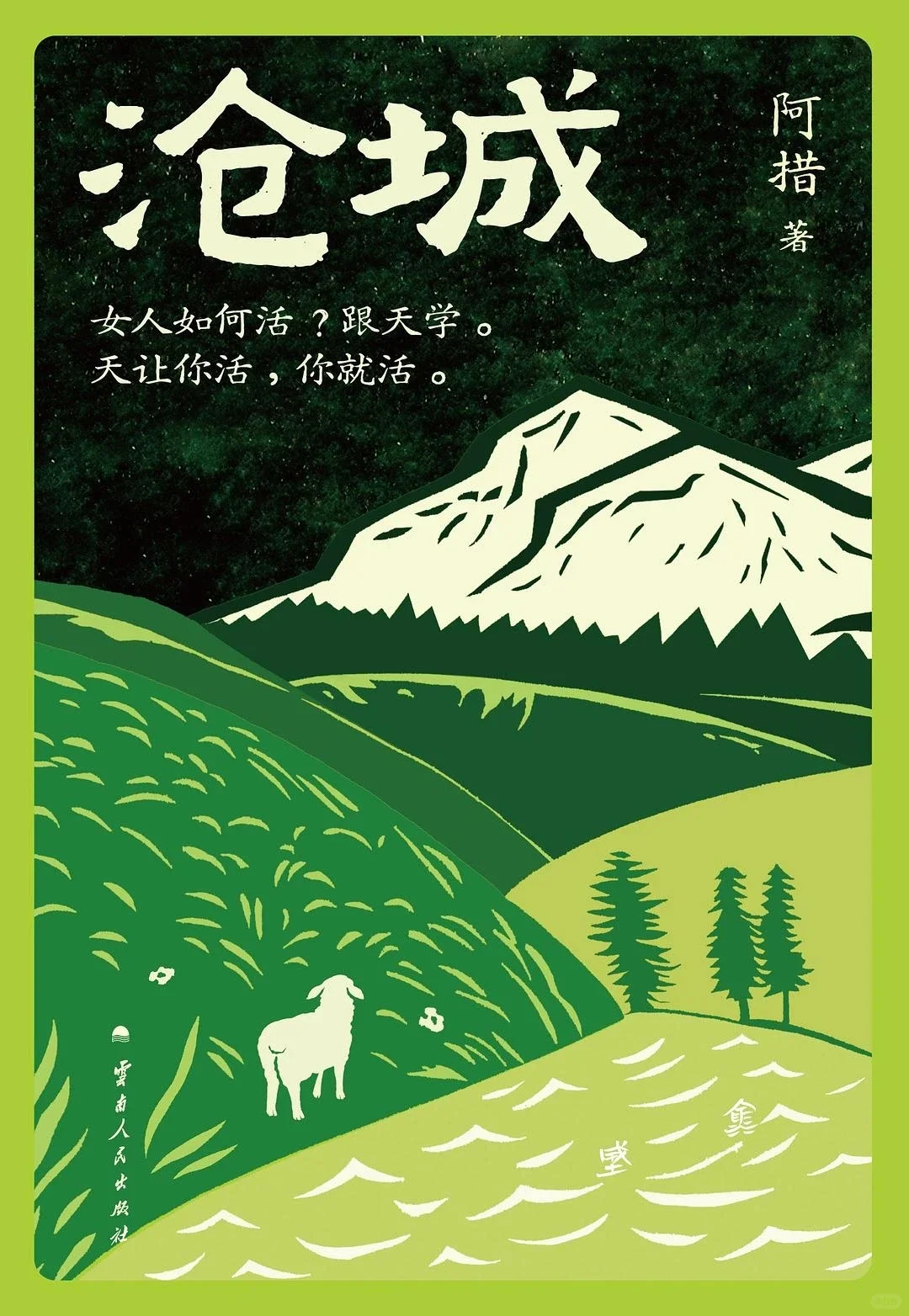 《沧城》