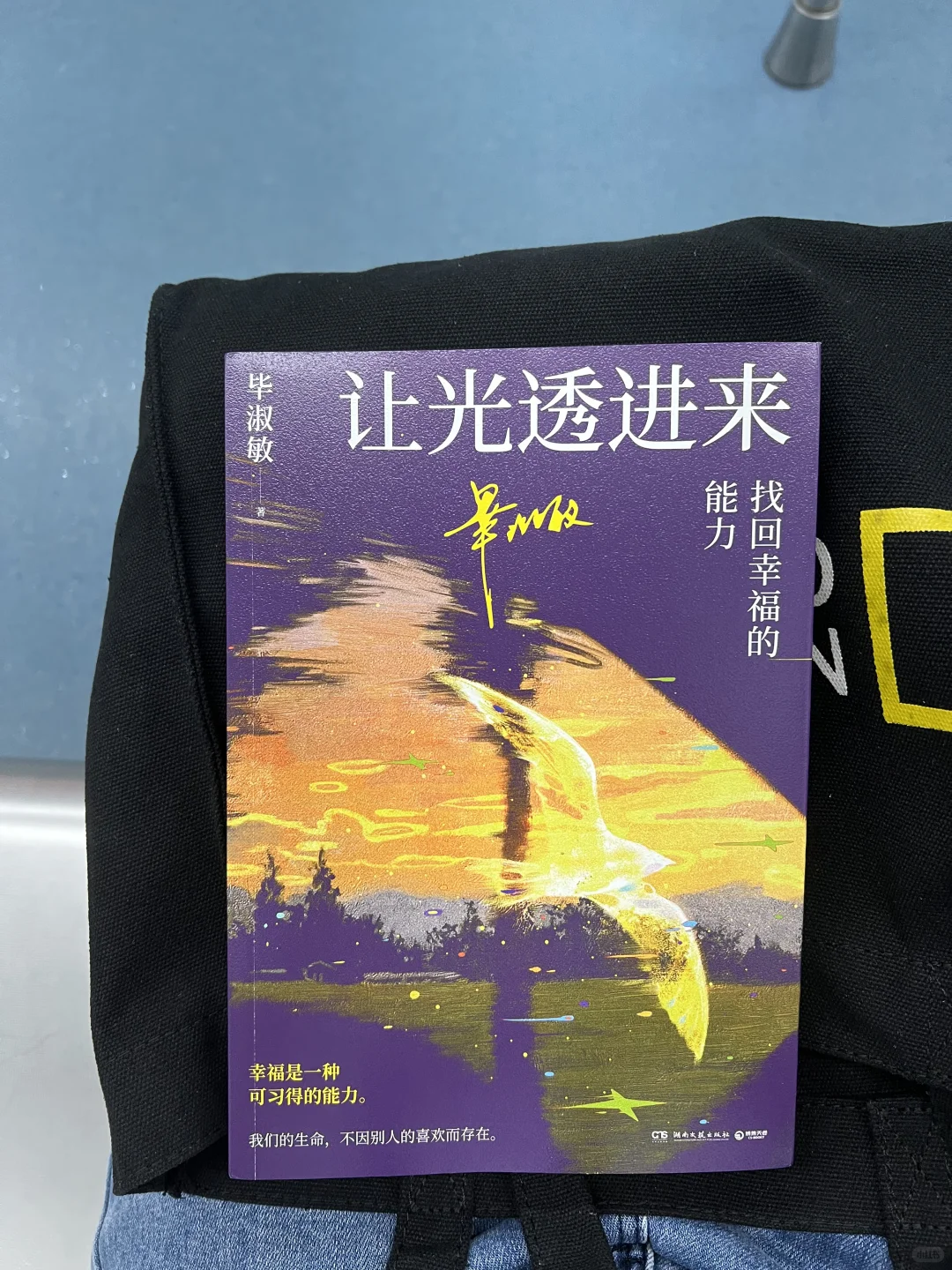 通勤书单｜找回幸福的能力，创造幸福生活
