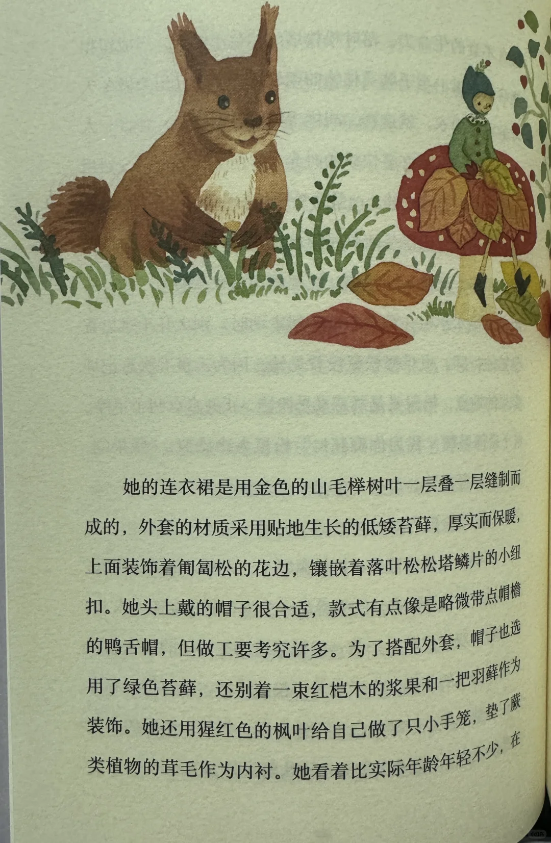 琥珀斑儿童文学奖获奖作品：胡桃木小姐