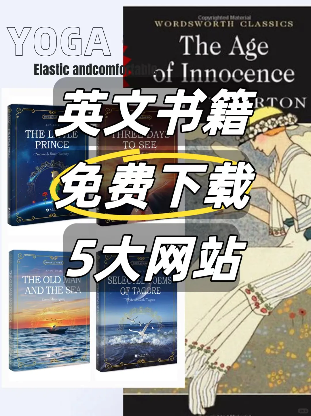 免费英文原版书下载宝藏网站❗❗❗