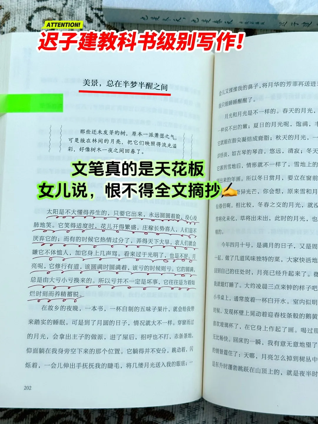 茅盾文学奖获奖作品，读完真的会很治愈！
