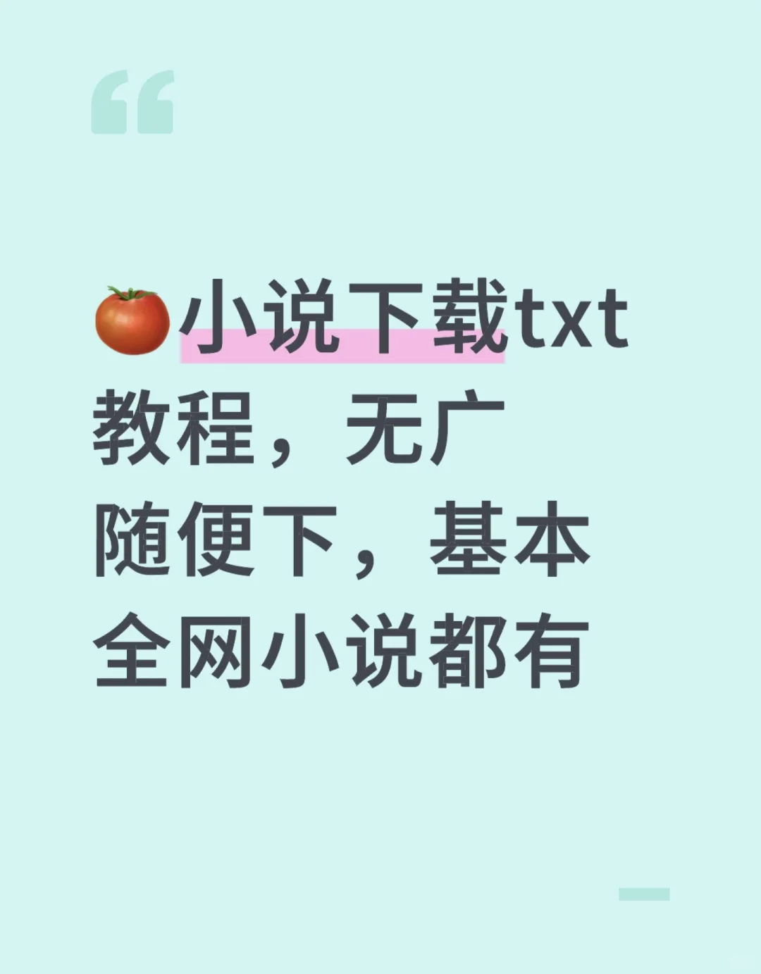 🍅小说TXT导出教程打包，别自己瞎琢磨了