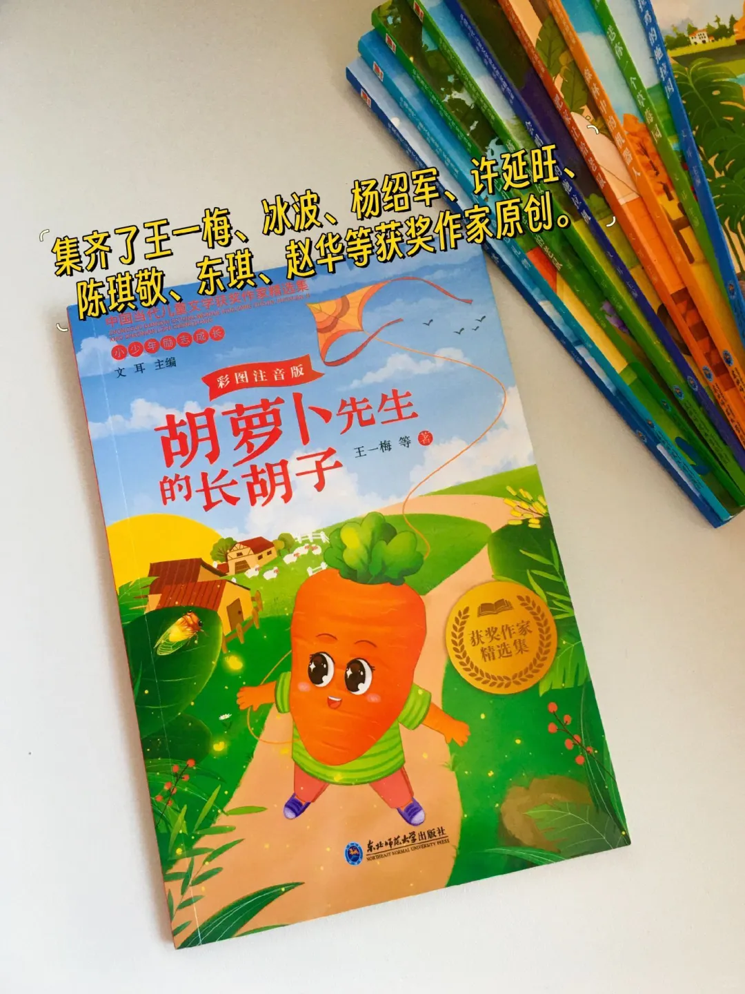 中国当代儿童获奖文学🍓。