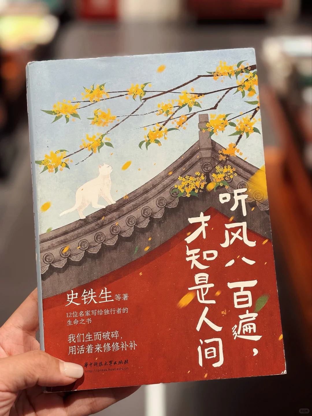 听风八百遍，才知是人间。