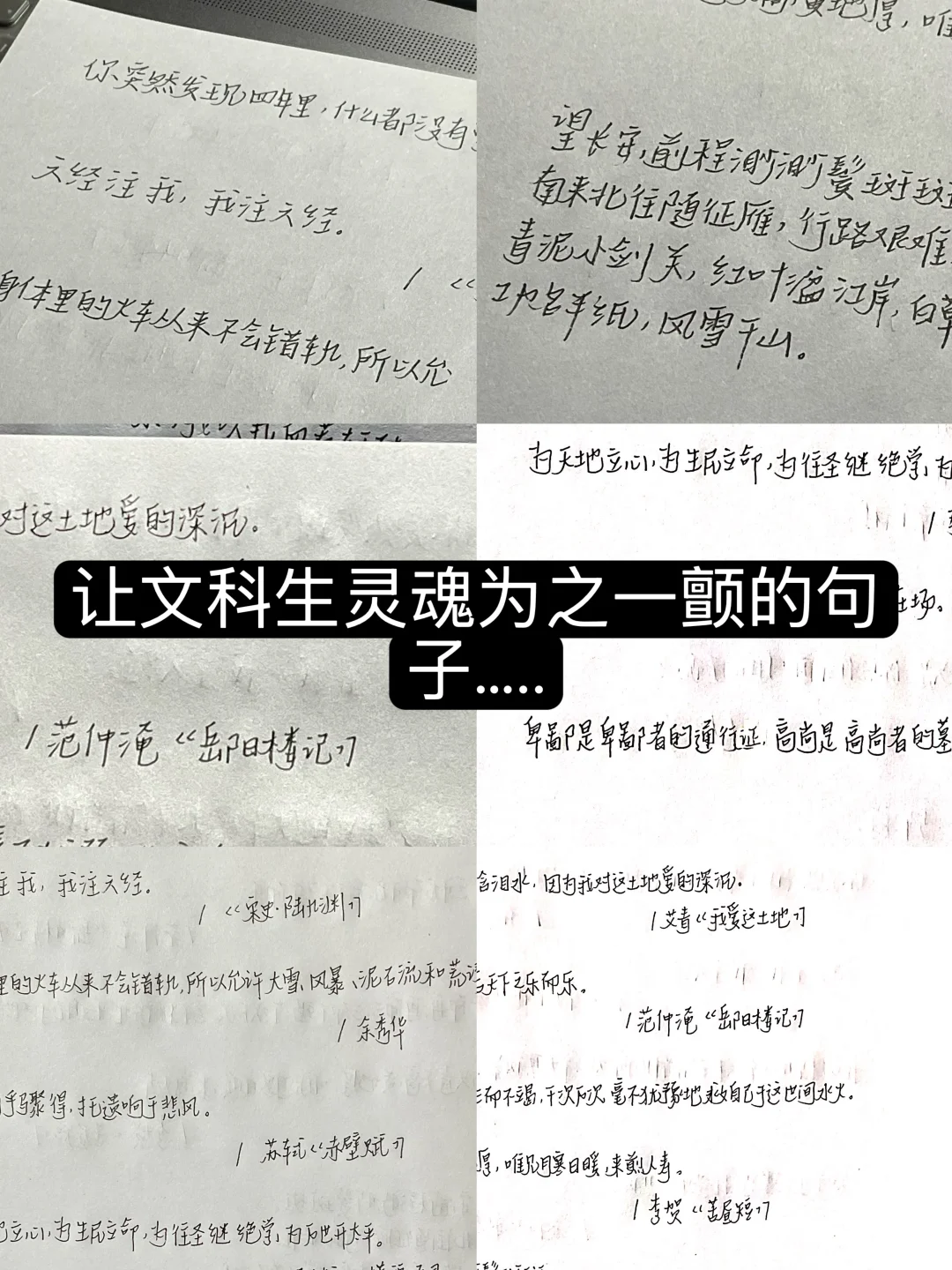 让文科生灵魂为之一颤的句子….