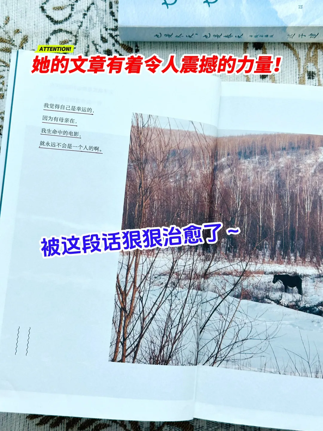 茅盾文学奖获奖作品，读完真的会很治愈！