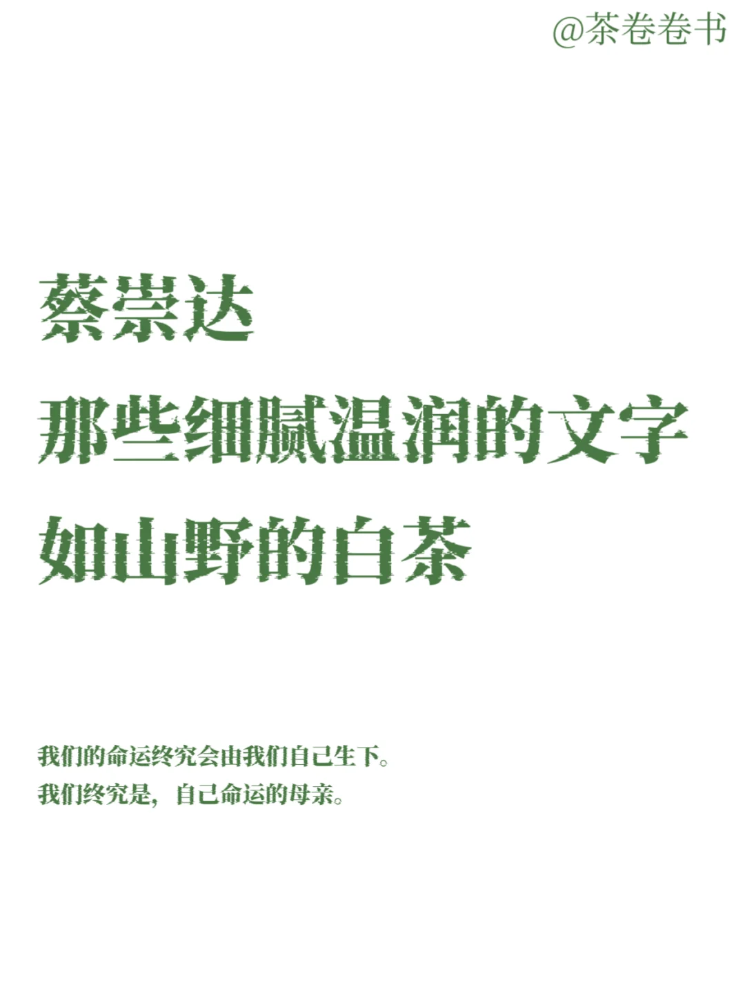 蔡崇达｜那些细腻温润的文字，如山野的白茶！