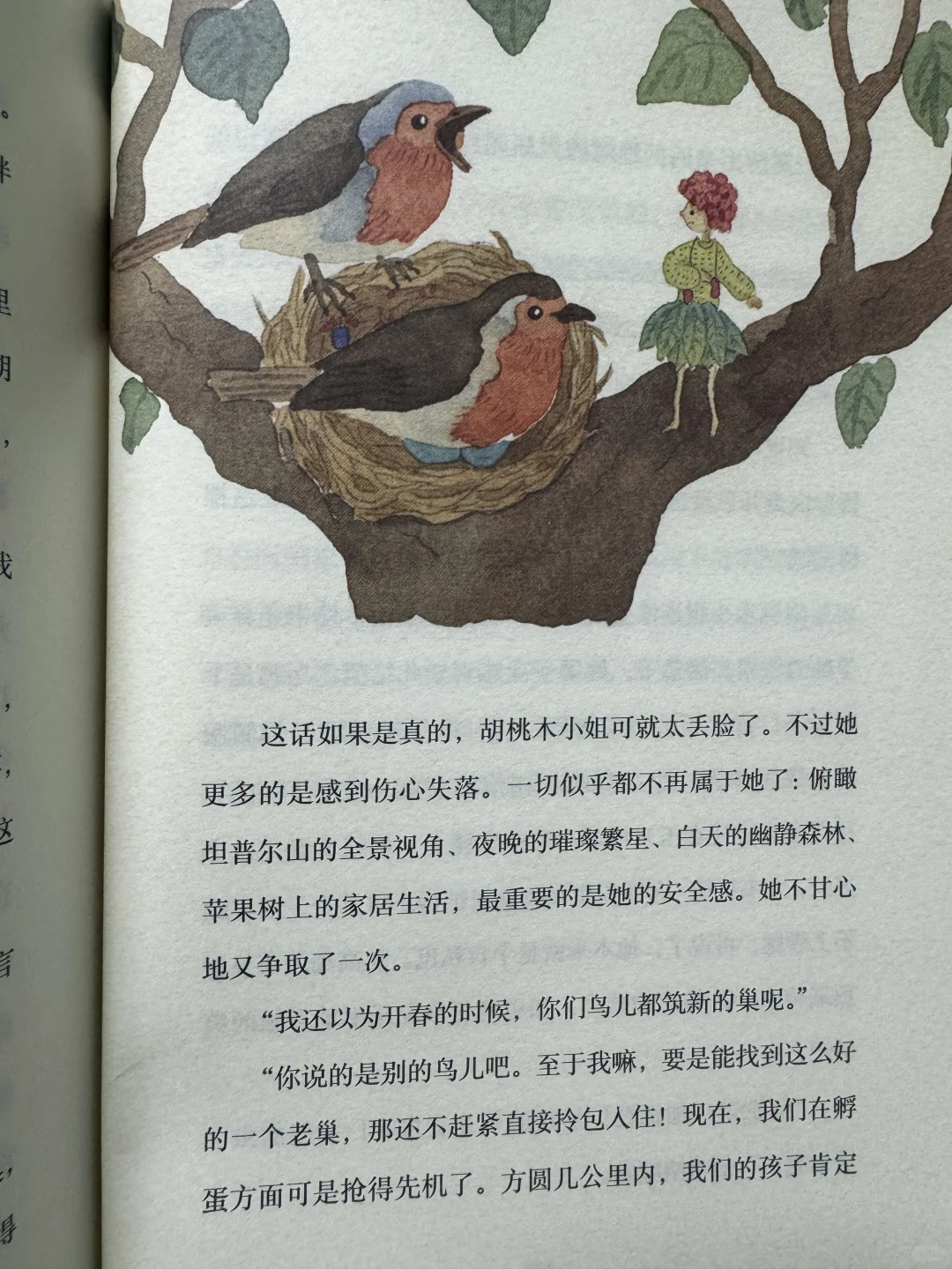 琥珀斑儿童文学奖获奖作品：胡桃木小姐