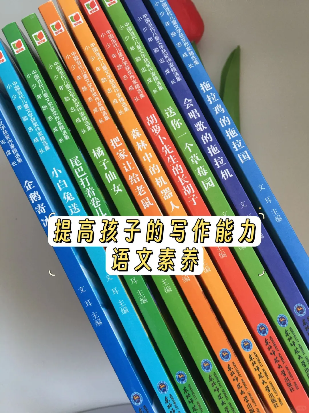 中国当代儿童获奖文学🍓。