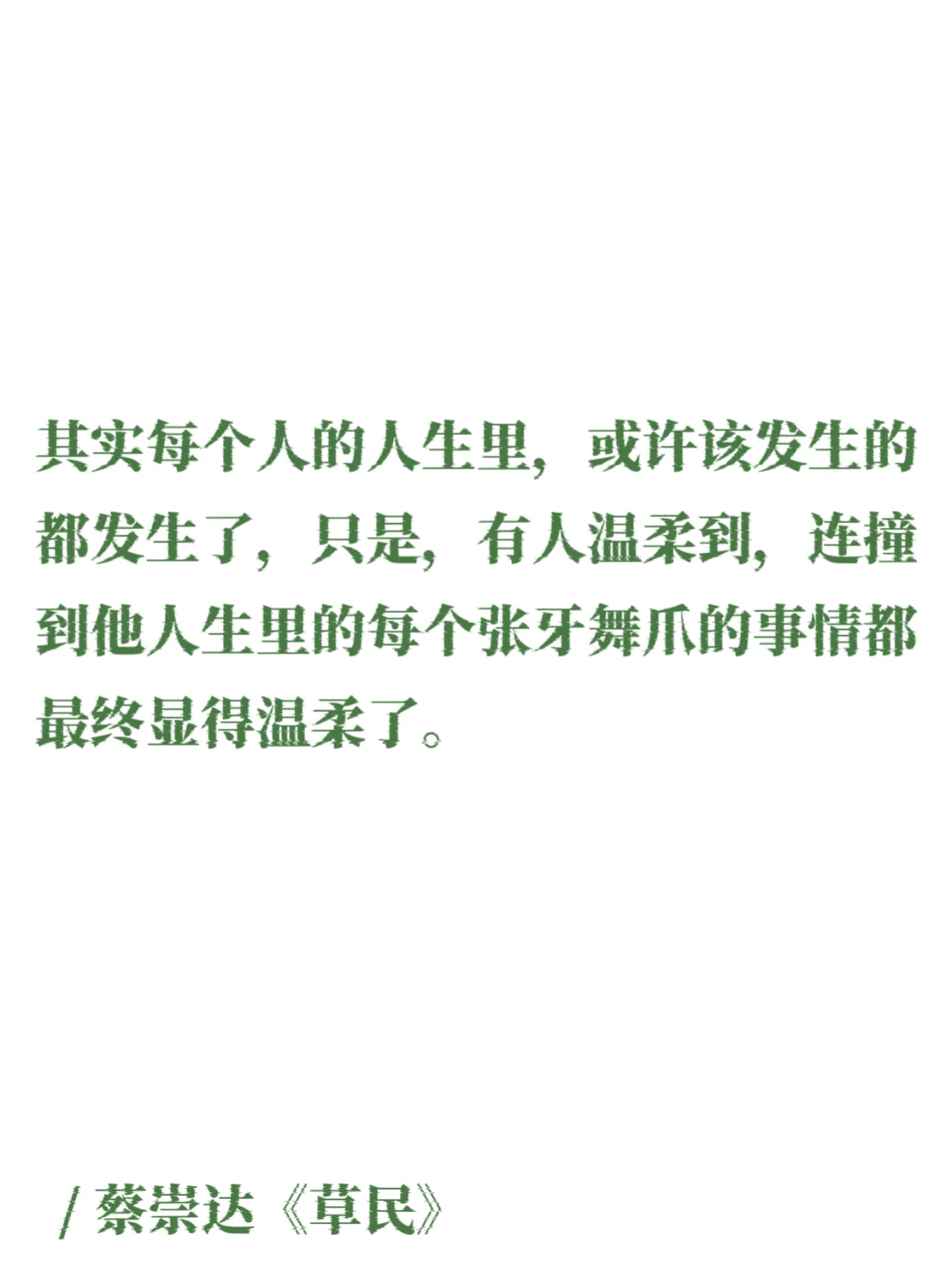 蔡崇达｜那些细腻温润的文字，如山野的白茶！