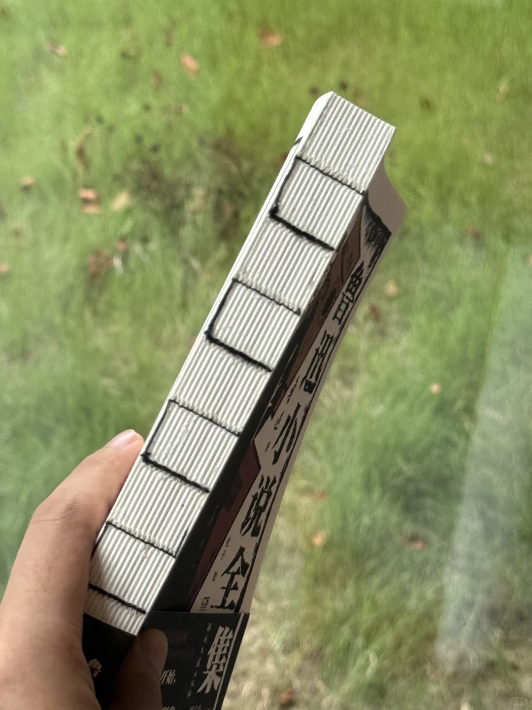 读一点鲁迅吧🍃对世界失望时，他是你的处方