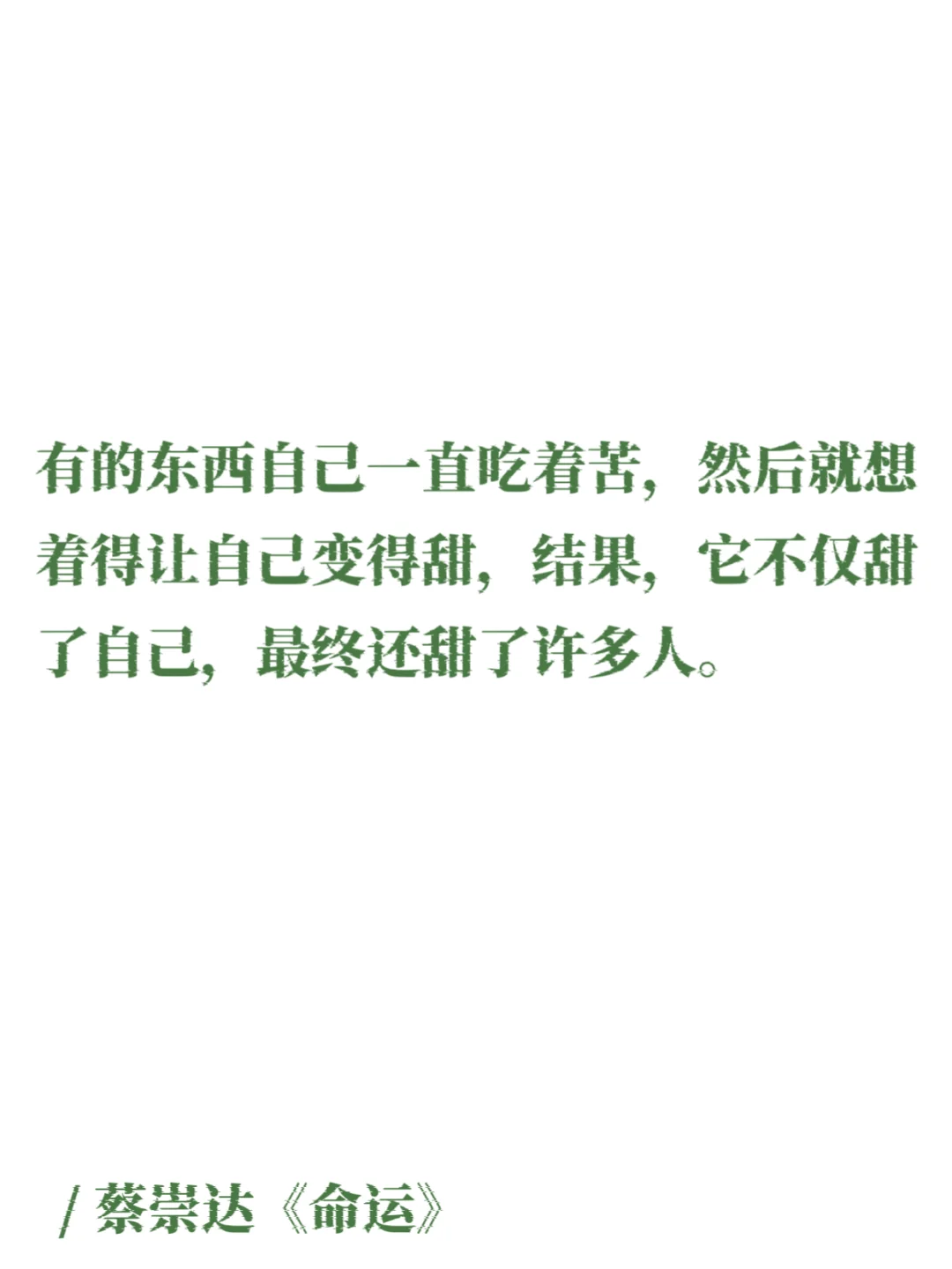 蔡崇达｜那些细腻温润的文字，如山野的白茶！