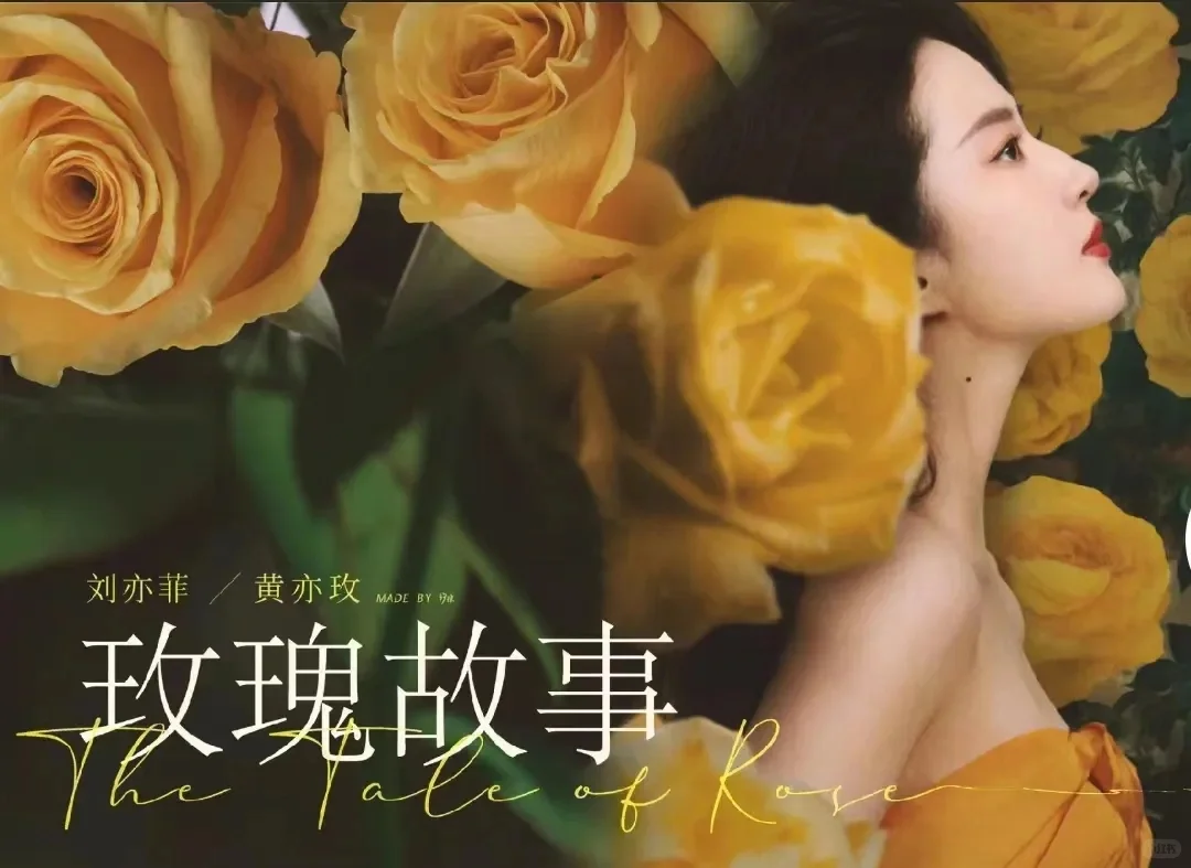 《玫瑰的故事》经典台词，清醒又透彻