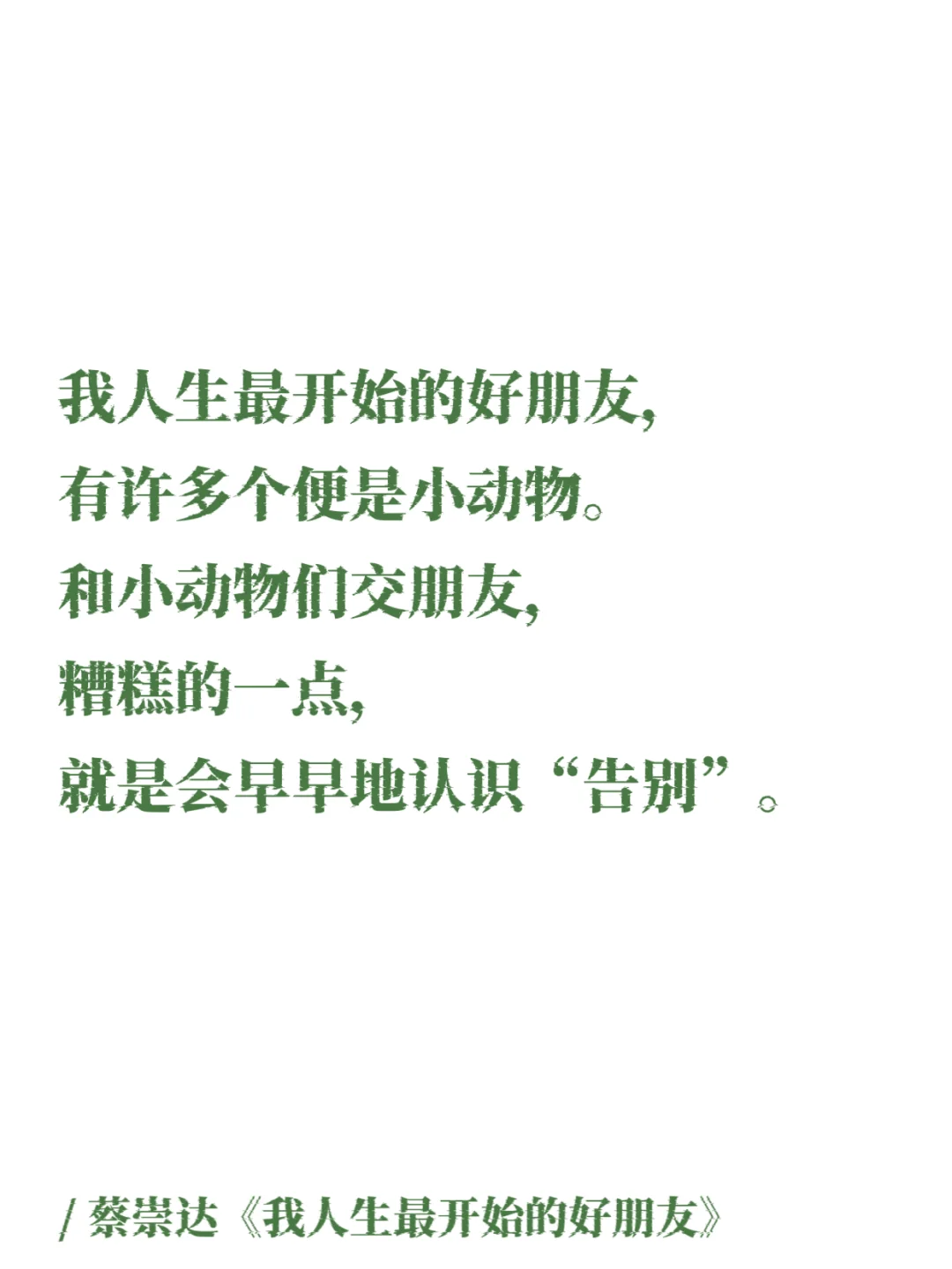 蔡崇达｜那些细腻温润的文字，如山野的白茶！