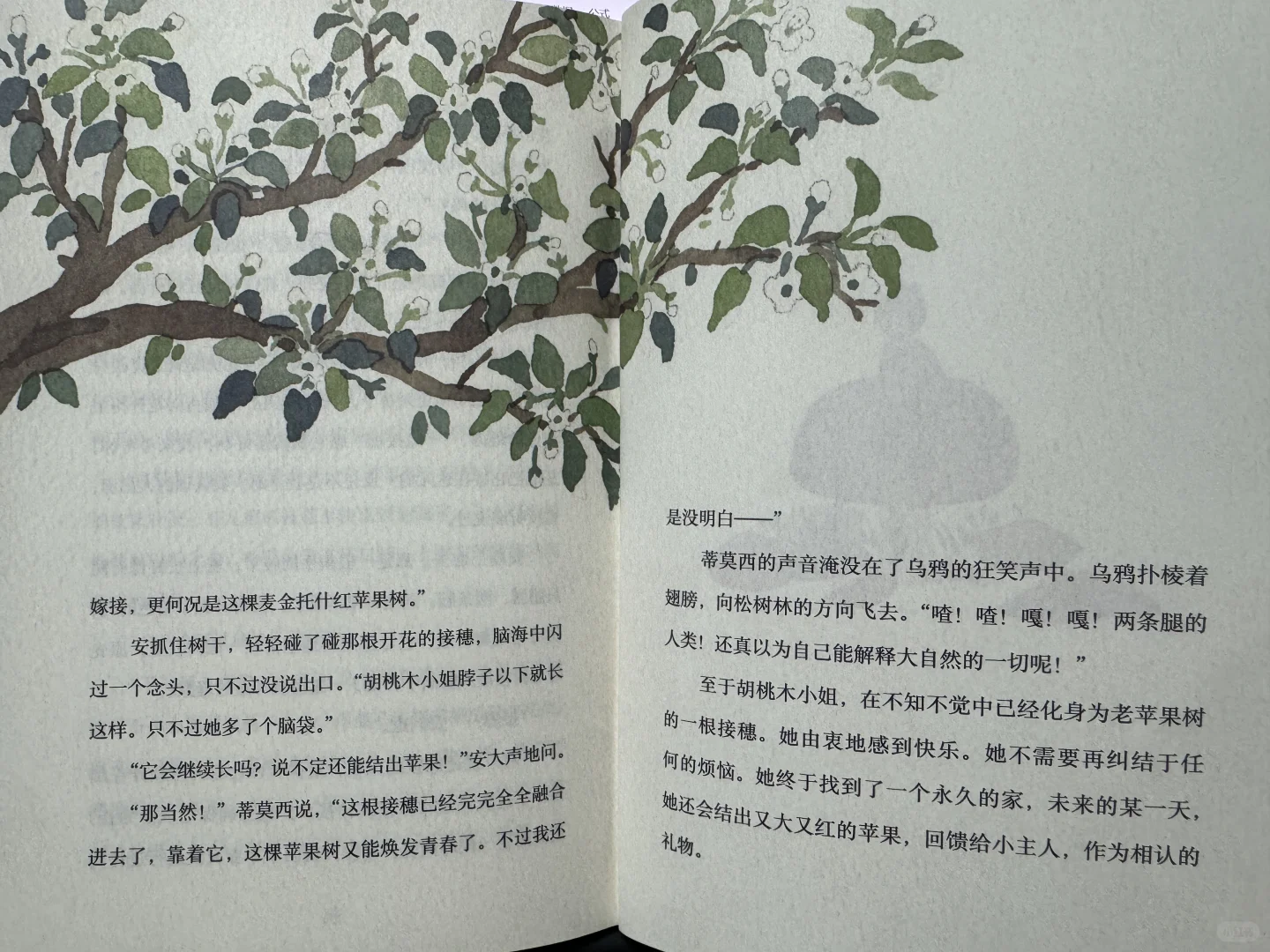 琥珀斑儿童文学奖获奖作品：胡桃木小姐