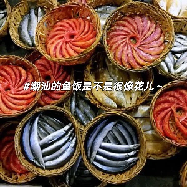 过稿《儿童文学》经典版🌸圆了一个儿时梦