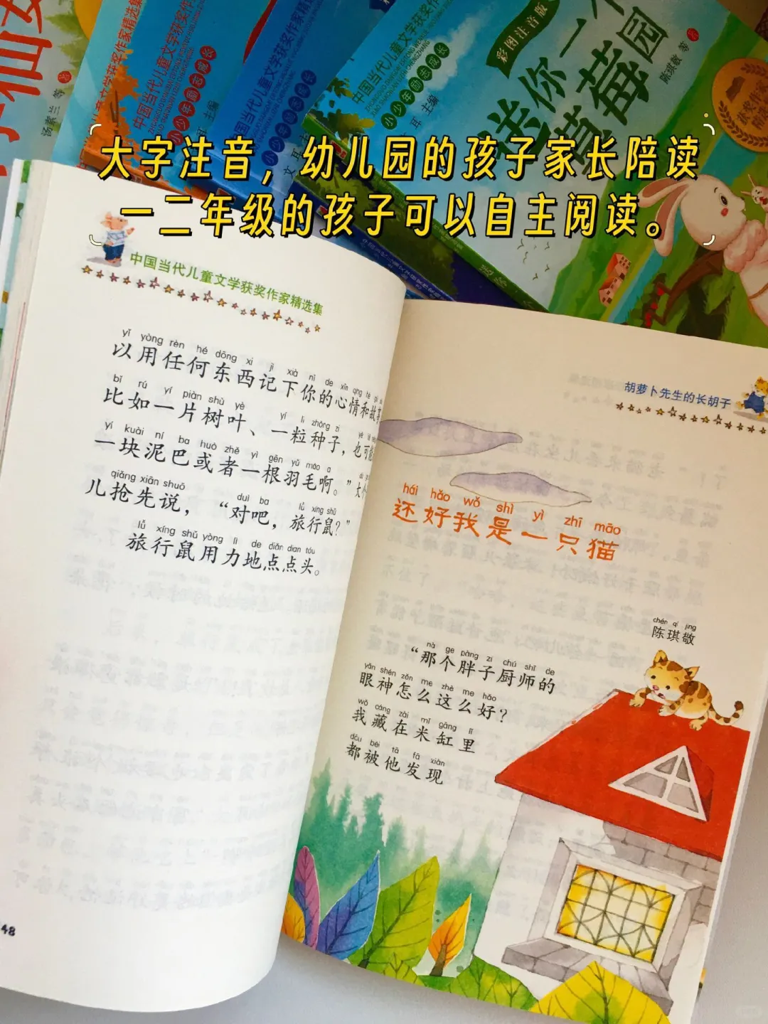 中国当代儿童获奖文学🍓。