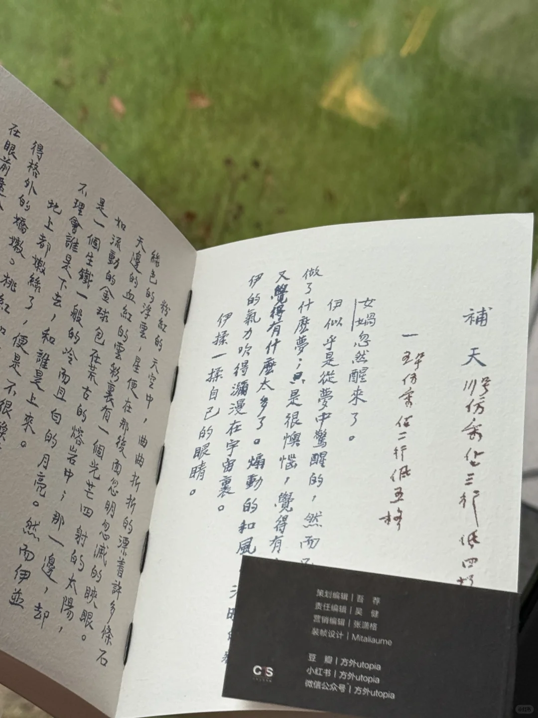 读一点鲁迅吧🍃对世界失望时，他是你的处方