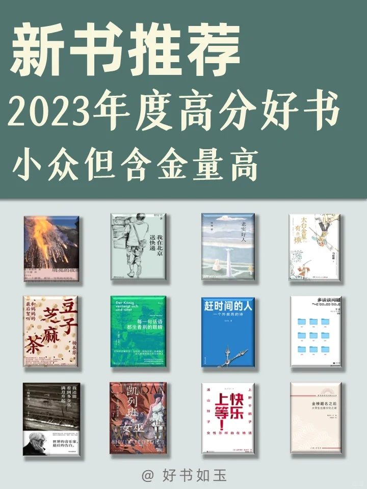 豆瓣2023年度高分好书，小众但含金量高