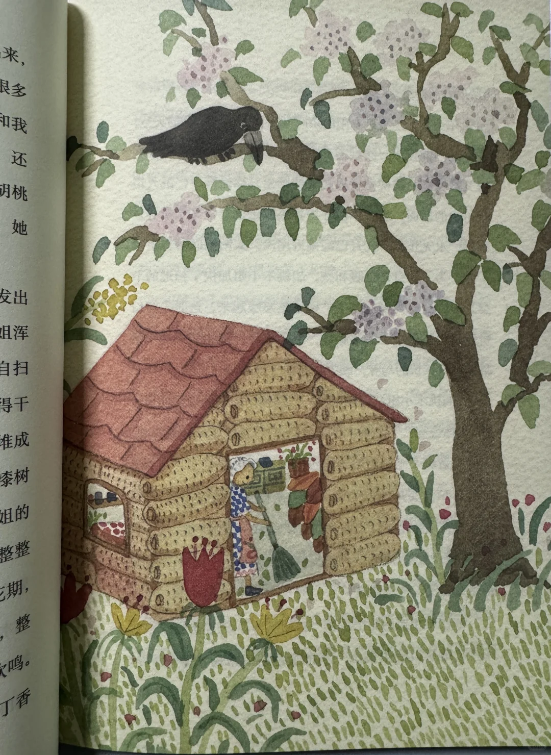 琥珀斑儿童文学奖获奖作品：胡桃木小姐