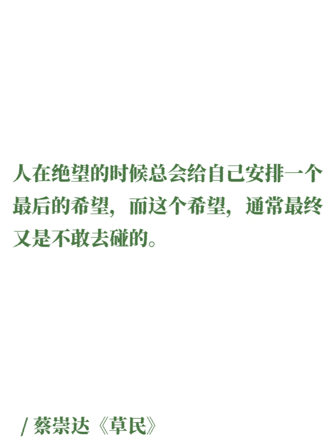 蔡崇达｜那些细腻温润的文字，如山野的白茶！