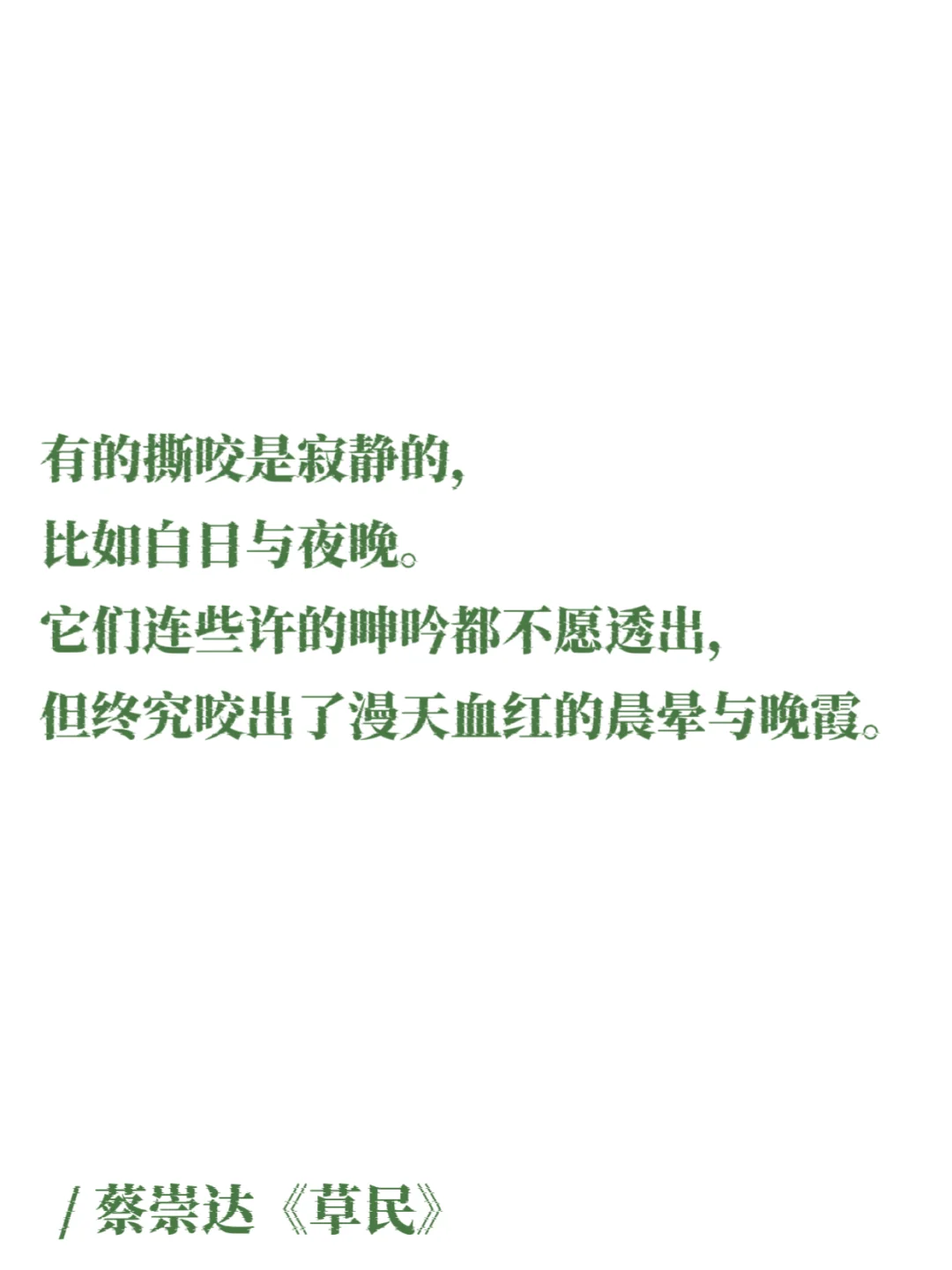 蔡崇达｜那些细腻温润的文字，如山野的白茶！