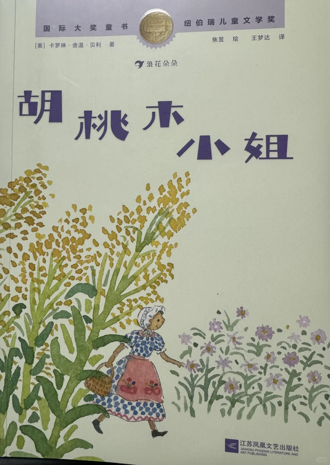 琥珀斑儿童文学奖获奖作品：胡桃木小姐