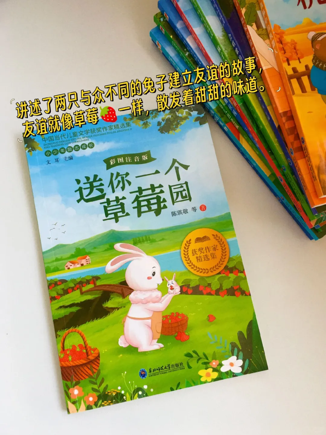 中国当代儿童获奖文学🍓。
