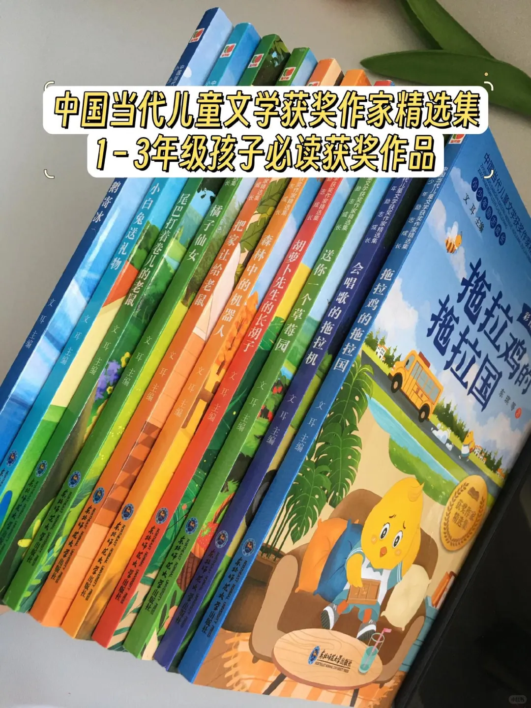 中国当代儿童获奖文学🍓。