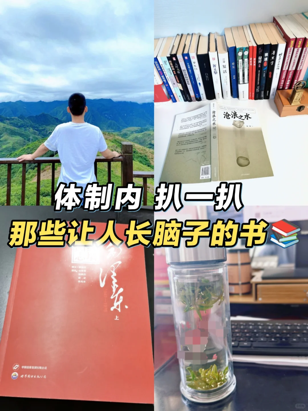 体制内还有啥像《沧浪之水》让人开悟的书