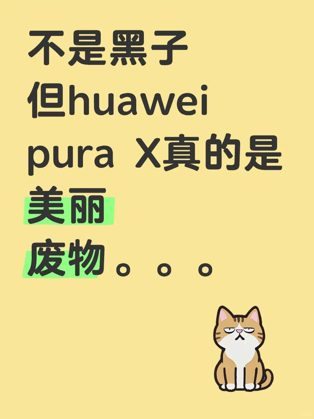 Pura X是没内部测试好就发售了吗？