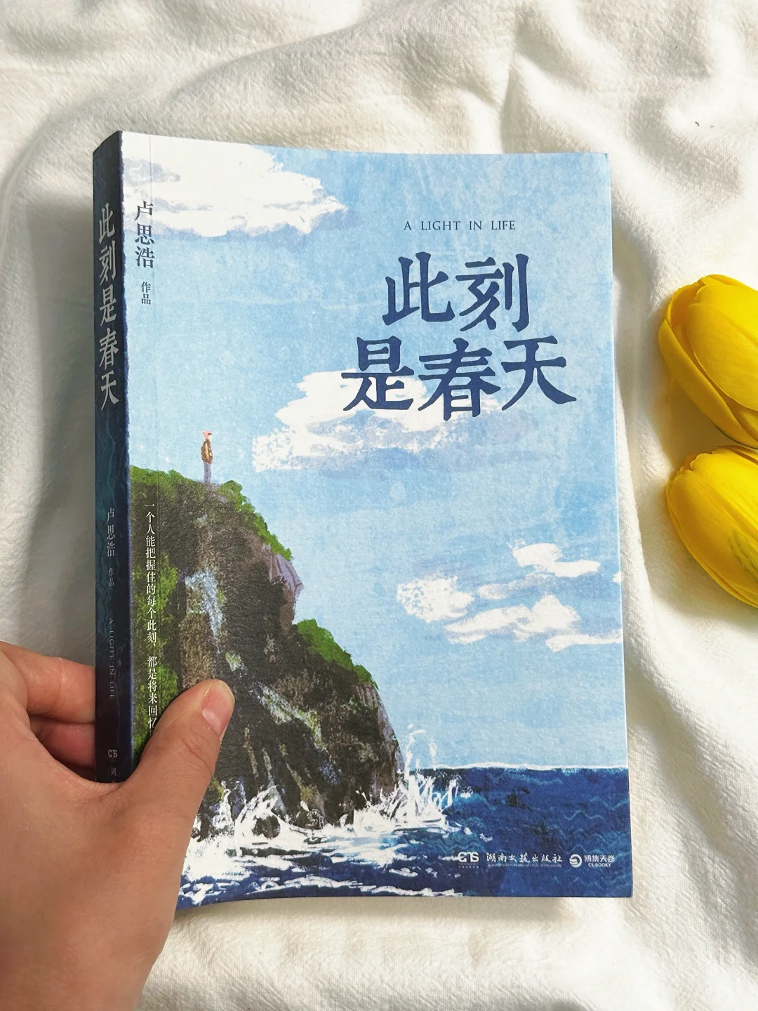 2025年，卢思浩终于出新书了！！