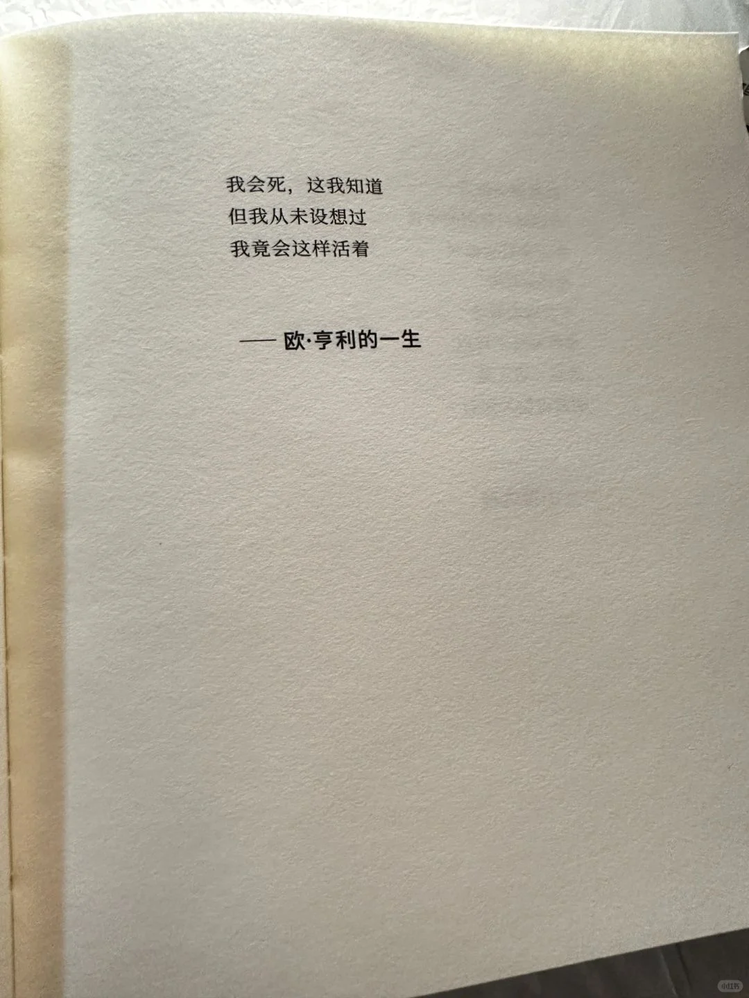 🌙睡前翻开这本小书，文字如气泡酒般跳跃