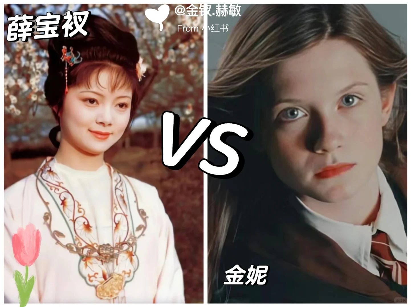 中外名著大PK！《红楼梦》VS《哈利波特》