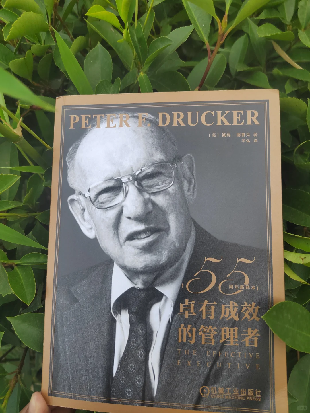 后悔没有早点读《卓有成效的管理者》