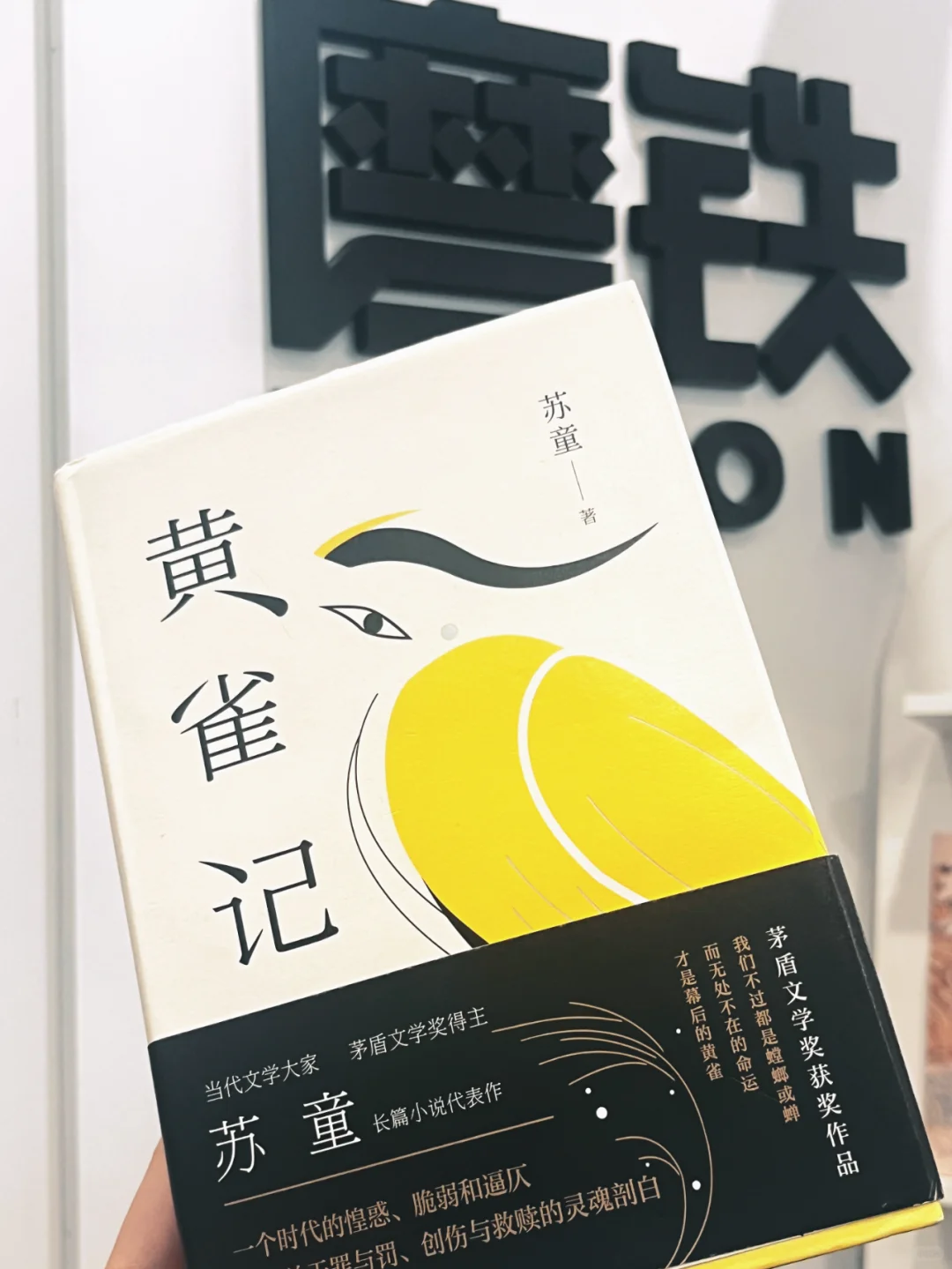 今天读一本茅盾文学奖作品《黄雀记》