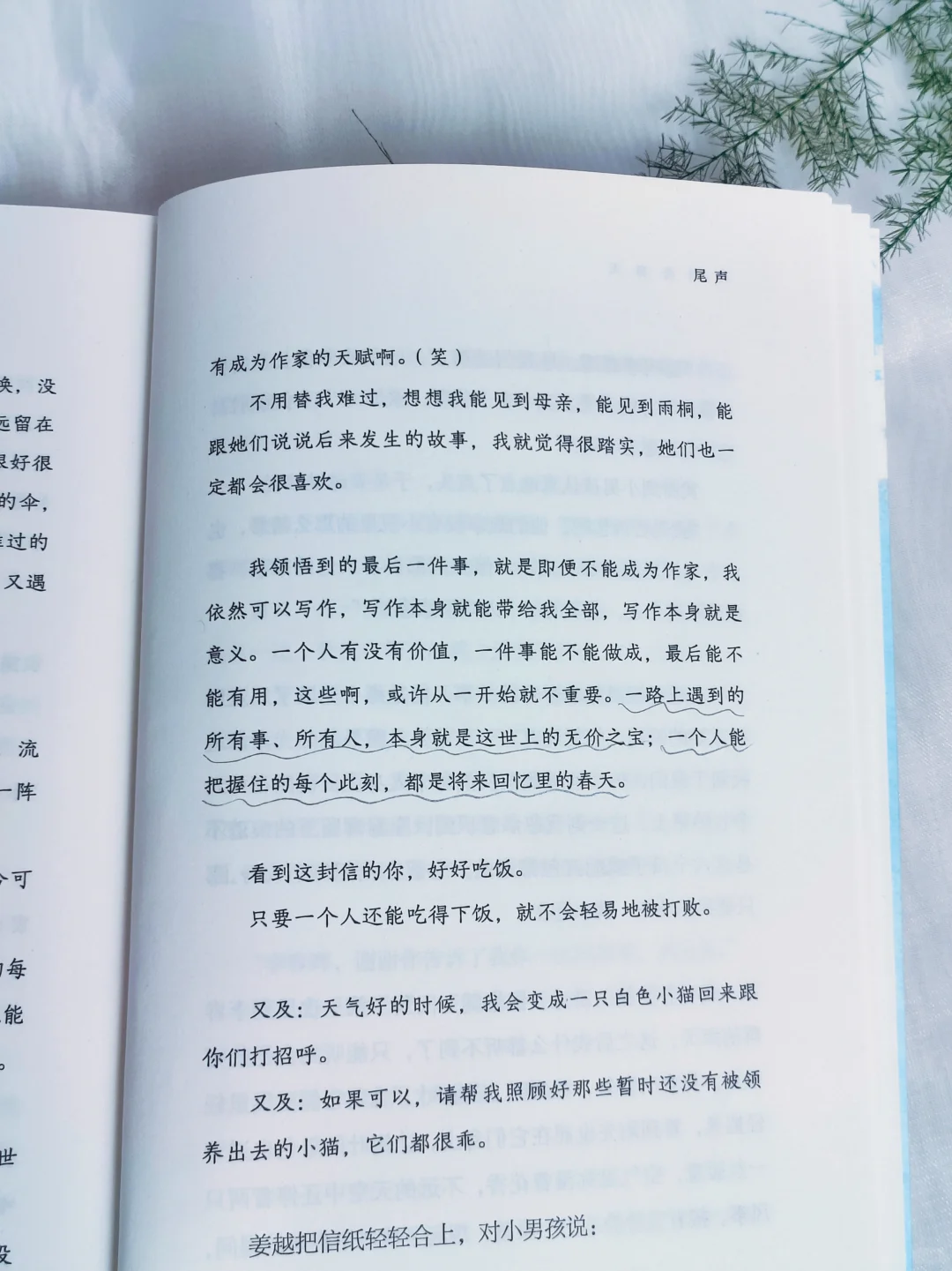 被卢思浩新书《此刻是春天》治愈了！