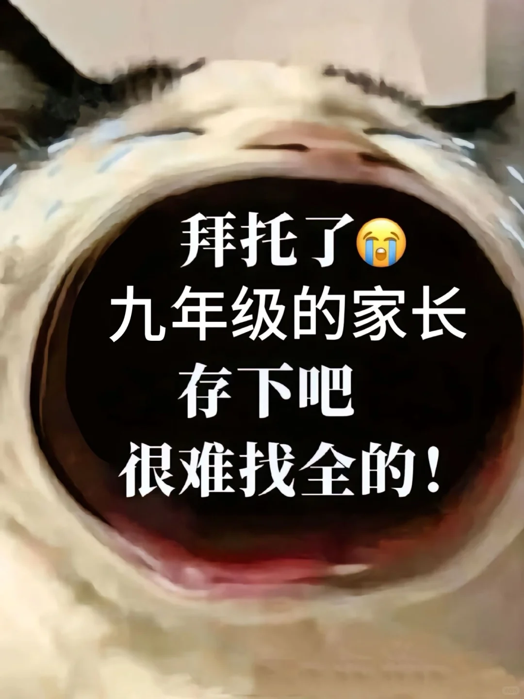 九年级上册语文名著《水浒传》高频考点❗️❗️