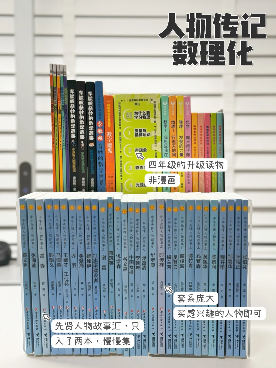 四年级阅读规划｜注重阅读面和阅读能力衔接