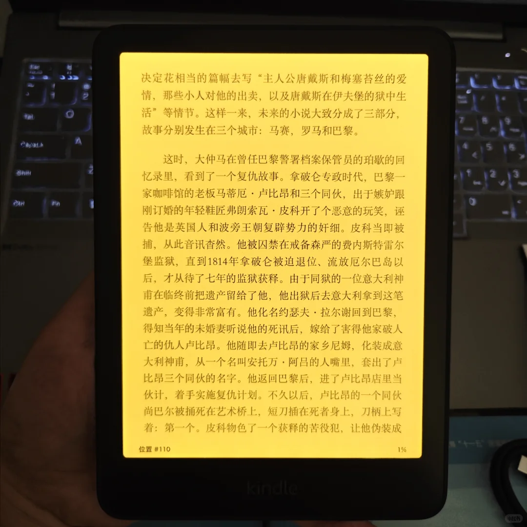 kindle已到手