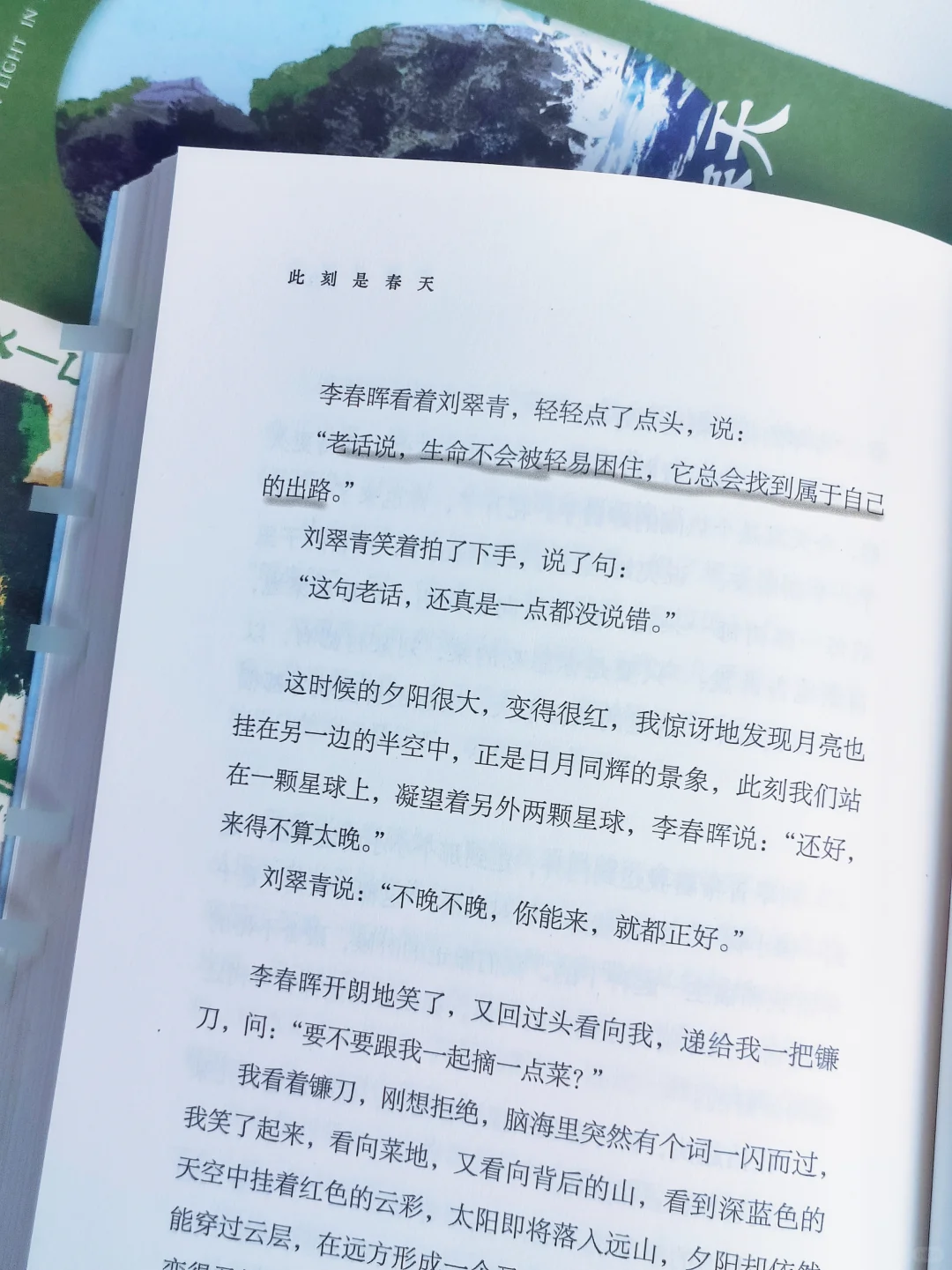 被卢思浩新书《此刻是春天》治愈了！