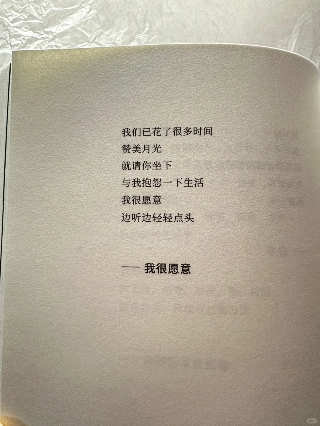 🌙睡前翻开这本小书，文字如气泡酒般跳跃