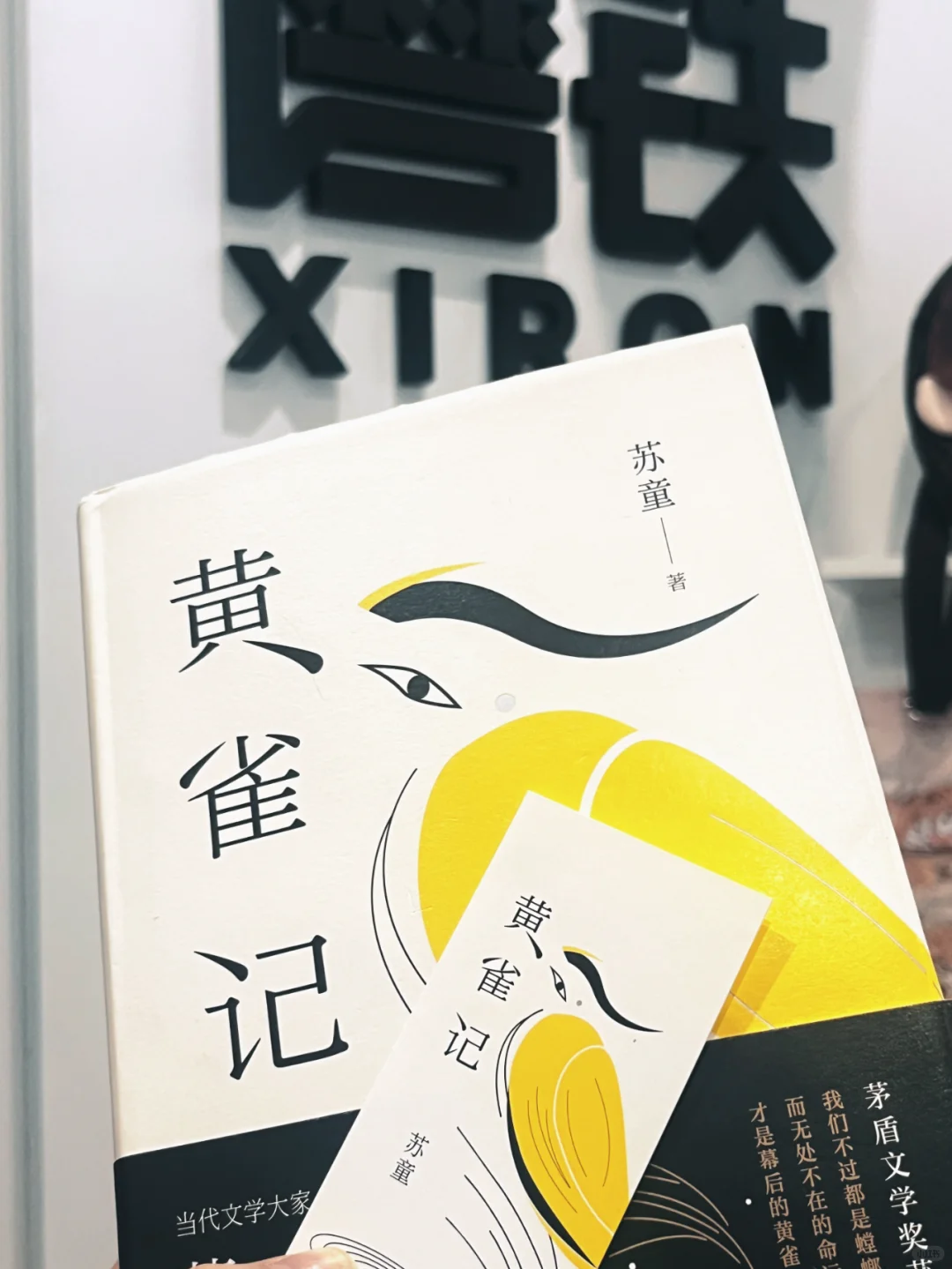 今天读一本茅盾文学奖作品《黄雀记》